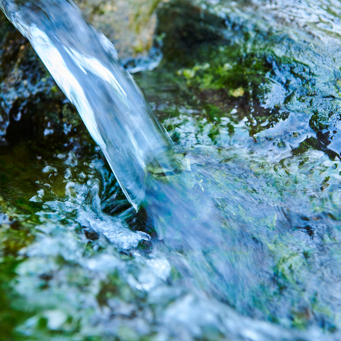 新大豆特選豆腐『ZEPPIN』2026年3月12日 出荷分 個数:1個