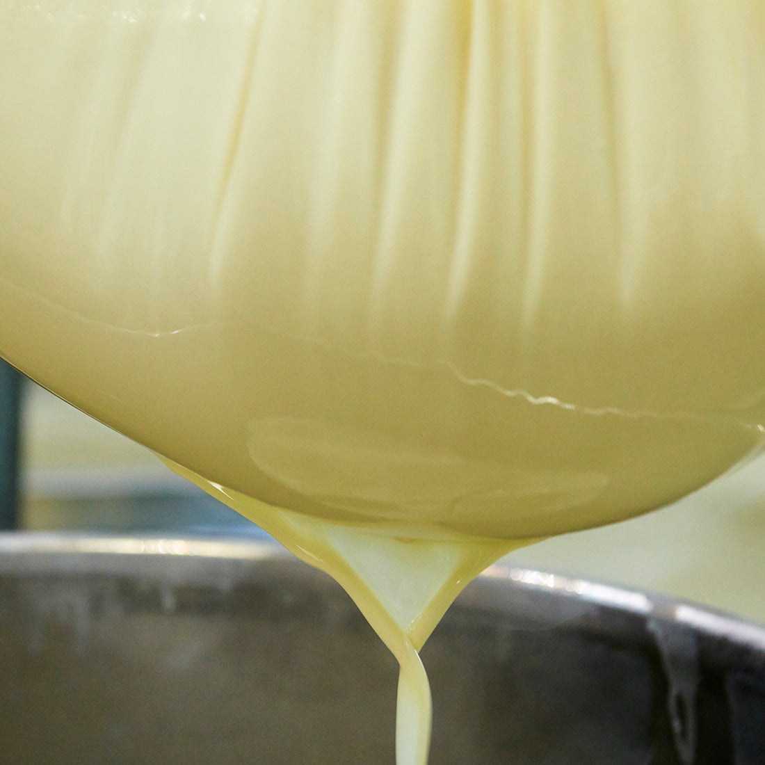 【限定生産商品:出荷日 第2金曜or第4金曜】豆乳 Extra Richセット