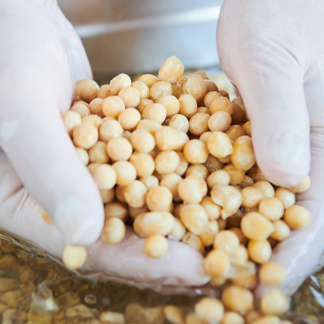 【限定生産商品:出荷日 第2金曜or第4金曜】豆乳 Extra Richセット