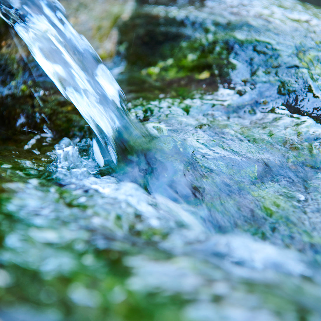 【限定生産商品:出荷日 第2金曜or第4金曜】豆乳 Extra Richセット